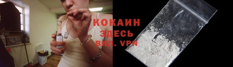 КОКАИН FishScale  где купить   Вязьма 